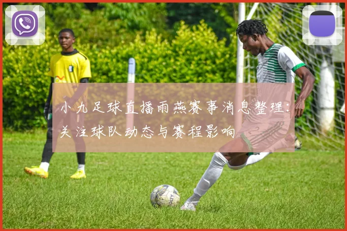 小九足球直播雨燕赛事消息整理：关注球队动态与赛程影响