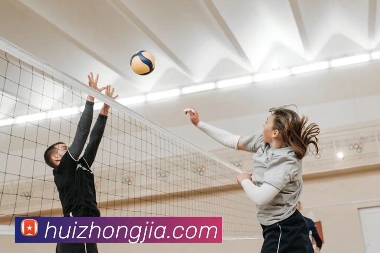 App Interface Preview